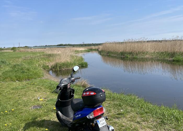 Grajewo ogłoszenia: Sprzedam skuter 50 Torq jak nowy z małym przebiegiem 2.200 km  z...